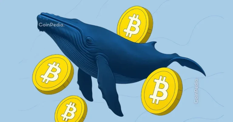 New Whale Buyers Now Drive 50% of Bitcoin’s Realized Cap – A Shift From Old Cycles?